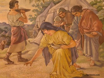 10 Epic Miracles in the Bible - Manna from Heaven - Beliefnet